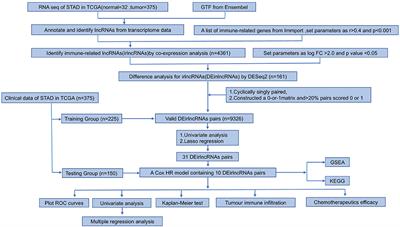 Immune-Related lncRNAs Pairs to Construct a Novel Signature for Predicting Prognosis in Gastric Cancer